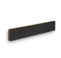 Bang and Olufsen Beosound Stage